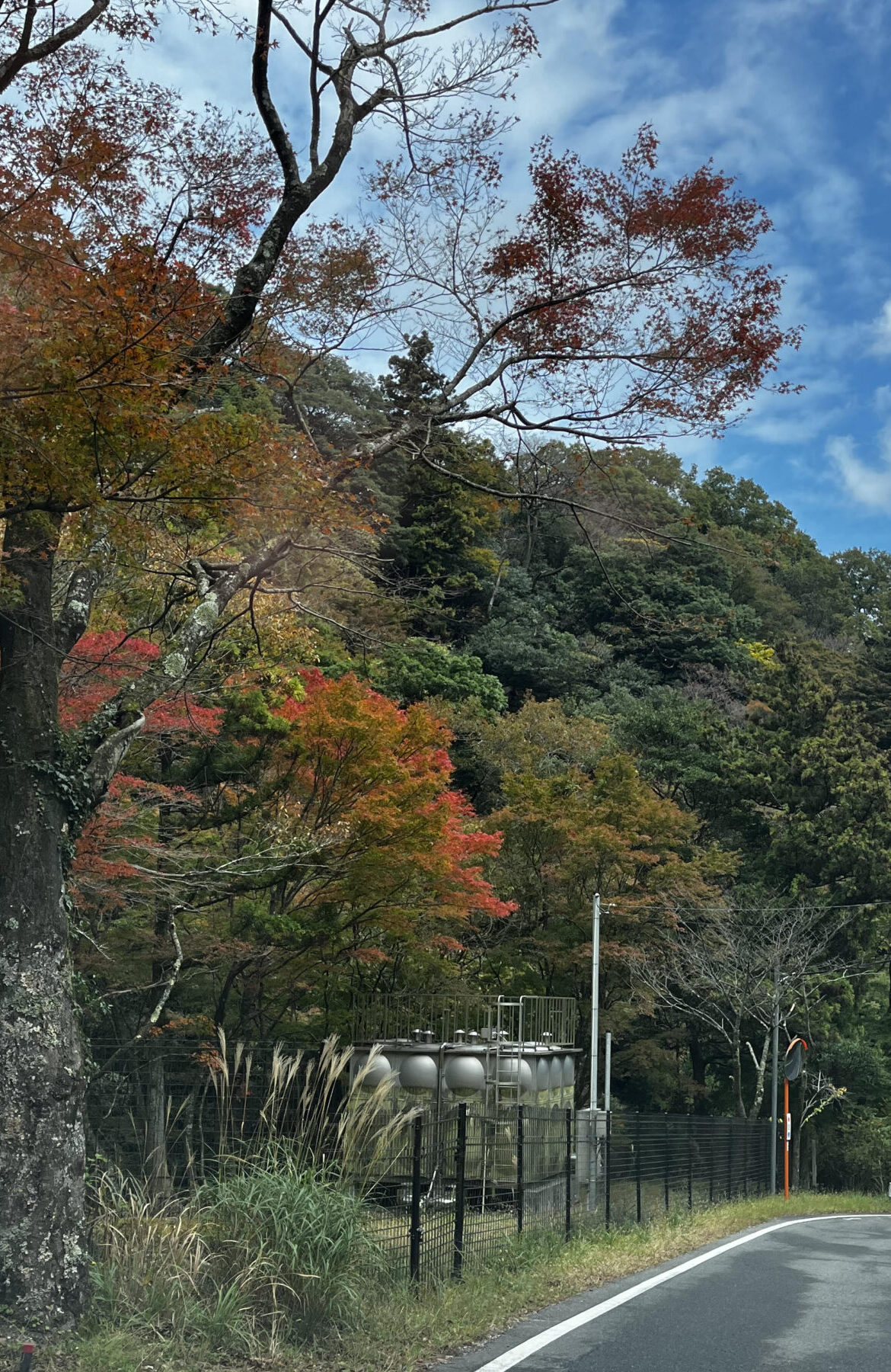 筆谷 久和さんの趣味・特技の写真2